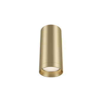 Потолочный светильник MAYTONI FOCUS C010CL-01MG